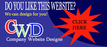 Company Website Designs
